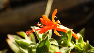 DSC09989.JPG