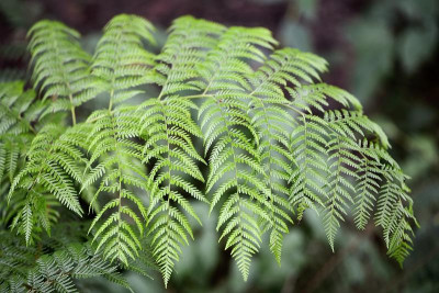 _DSC4665.jpg