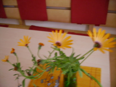 PICT1012.JPG