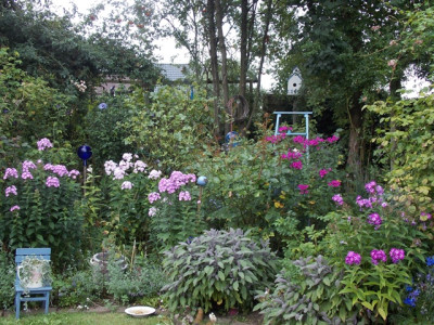 DSCN7479v.JPG