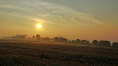 19.8. this morning.jpg