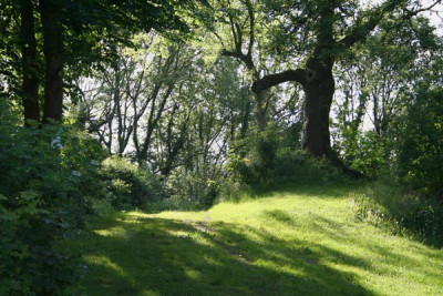 Licht--und-Schattenspiel-2.jpg