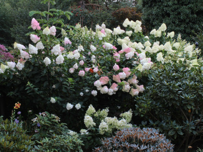 IMG_§727.jpg