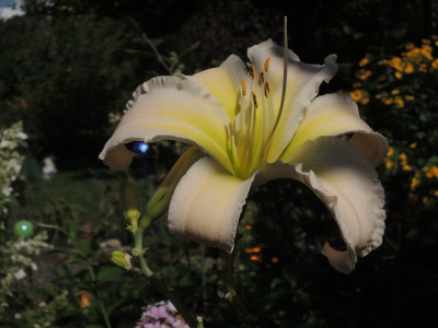 DSCN8110_889.JPG