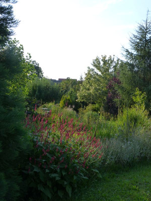 2015-08-20 Garteneinblick 1.jpg