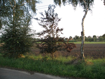 P8205731.JPG