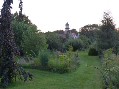 2015-08-21 Garteneinblick 1.jpg