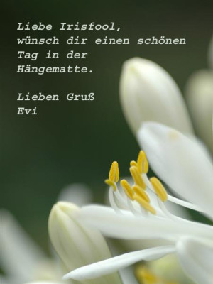 Irisfool-Postkarte-1-a.jpg
