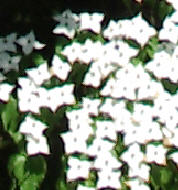 21256498.jpg
