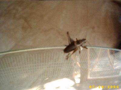 2006_0725Bild0020.JPG