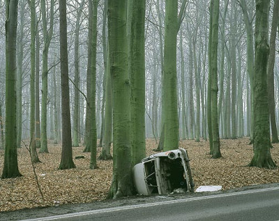 Trabant_Wald.jpg