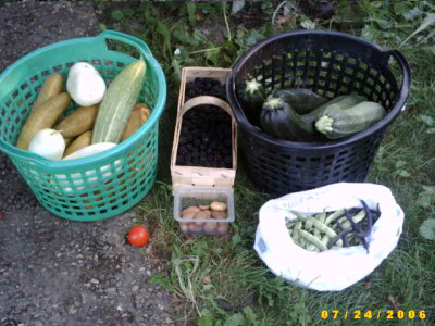 2006_0725Bild0012.JPG