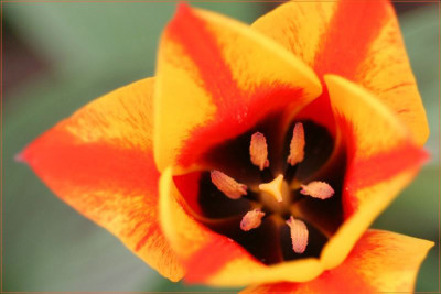 farbe1.jpg