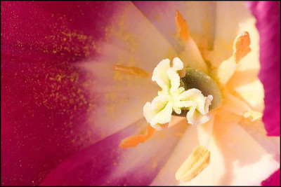 farbe2.jpg