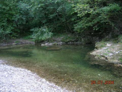 DSCN5727.jpg