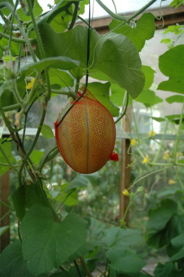 A0588_Large.JPG