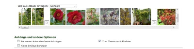 screenshot galerie-kleiner.jpg