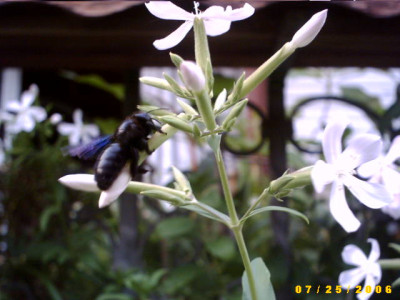 2006_0725Bild0033.JPG
