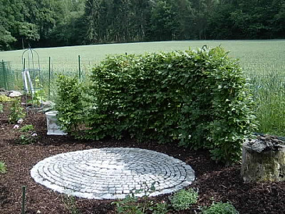 kl.Hainb.hecke_m.Oval_u.Klo_23.06.06.jpg
