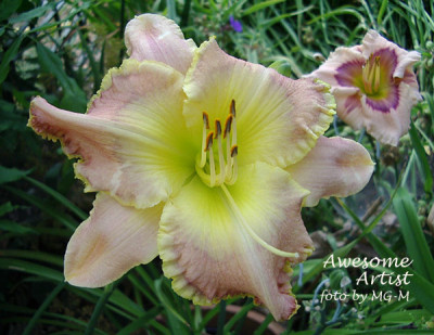 Imgp9480-AwArt.jpg