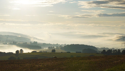 24.8. fog wire 2.jpg