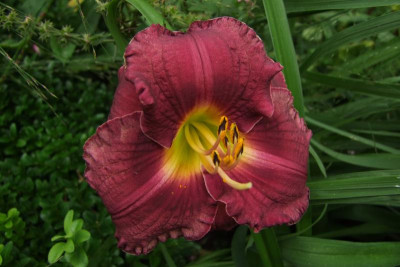 2015_0824EndeAugust0130.jpg