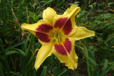 2015_0824EndeAugust0002.jpg