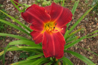 2015_0824EndeAugust0059.jpg