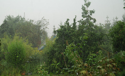 regen5209.jpg