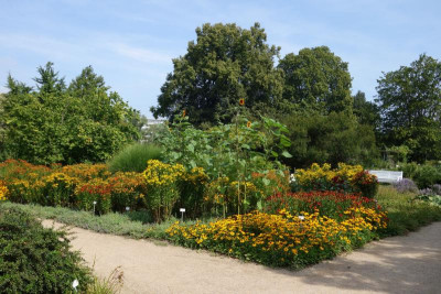 DSC03531.jpg