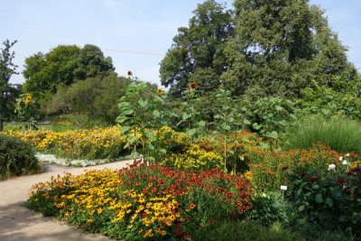 DSC03532.jpg