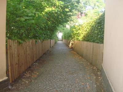zaun2015_3.jpg