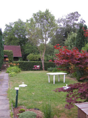 Garten_Juli_06_008.jpg