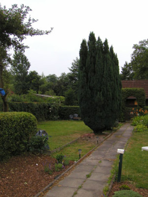 Garten_Juli_06_007.jpg