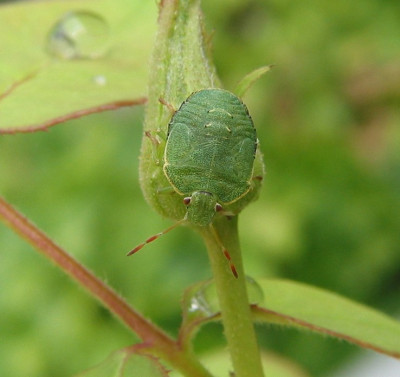 WANZE_SA_2907_II.jpg