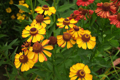 2015_0824EndeAugust0040.JPG