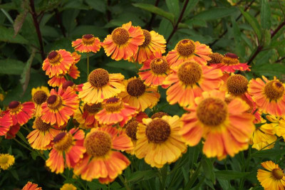 2015_0824EndeAugust0043.JPG