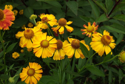 2015_0824EndeAugust0044.JPG