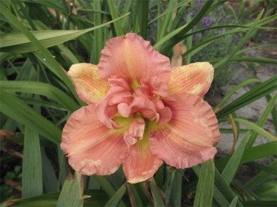 206-0690ab_IMG.jpg