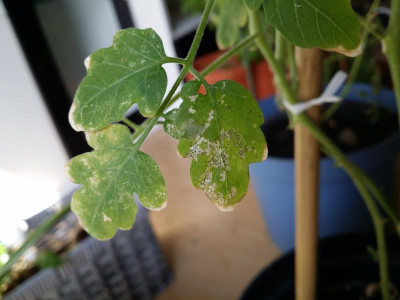 20150825_152822[1].jpg