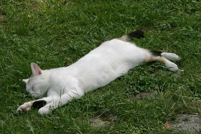 faulenzen.jpg