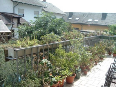Terasse_rechts.jpg