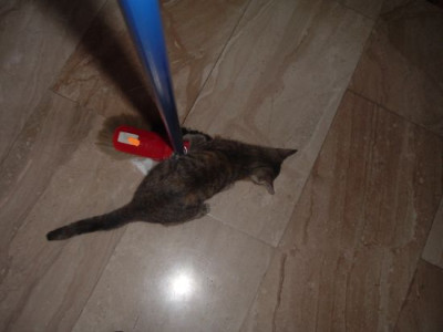 Besentiger.jpg