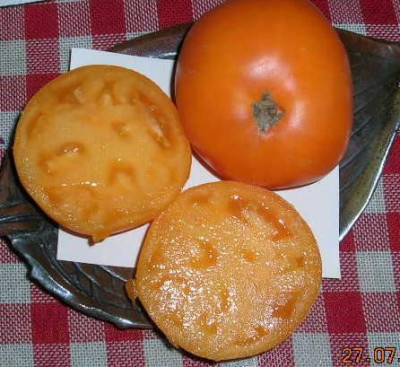 Orangegelbe_v._Galina.jpg