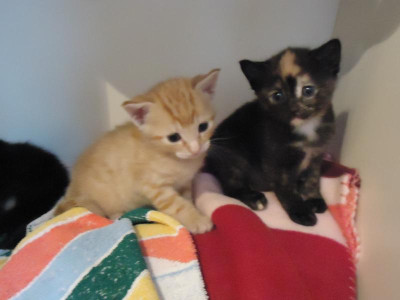 diverse unsortiert 032.JPG