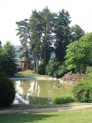 Bild_3_Blick_auf_den_Weiher.jpg