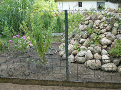 Maschendrahtzahn.JPG