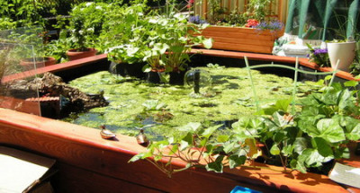PICT0008a.jpg