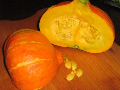 hokkaidokurbis_31.7.2006.jpg