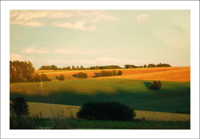 Feldansichten_1_30-07-2006.jpg